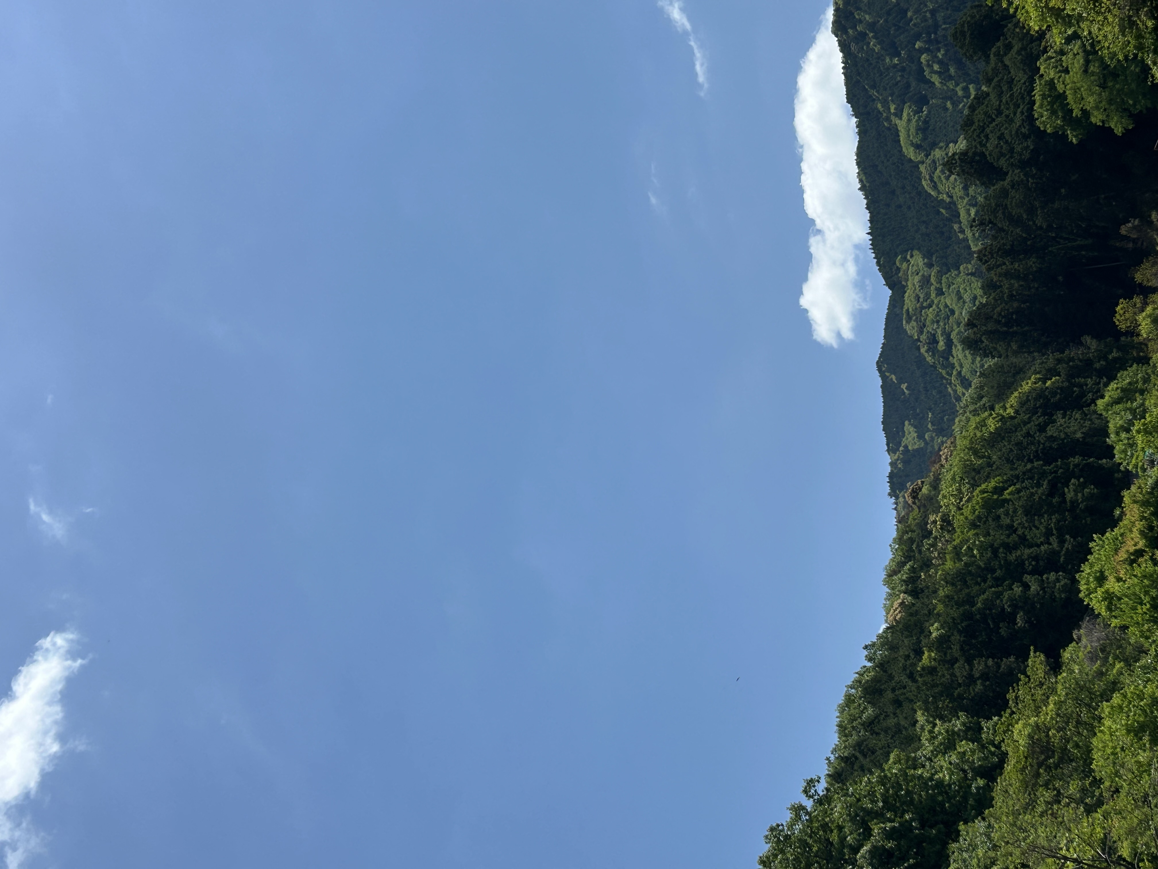 出張ドライヘッドスパの魅力