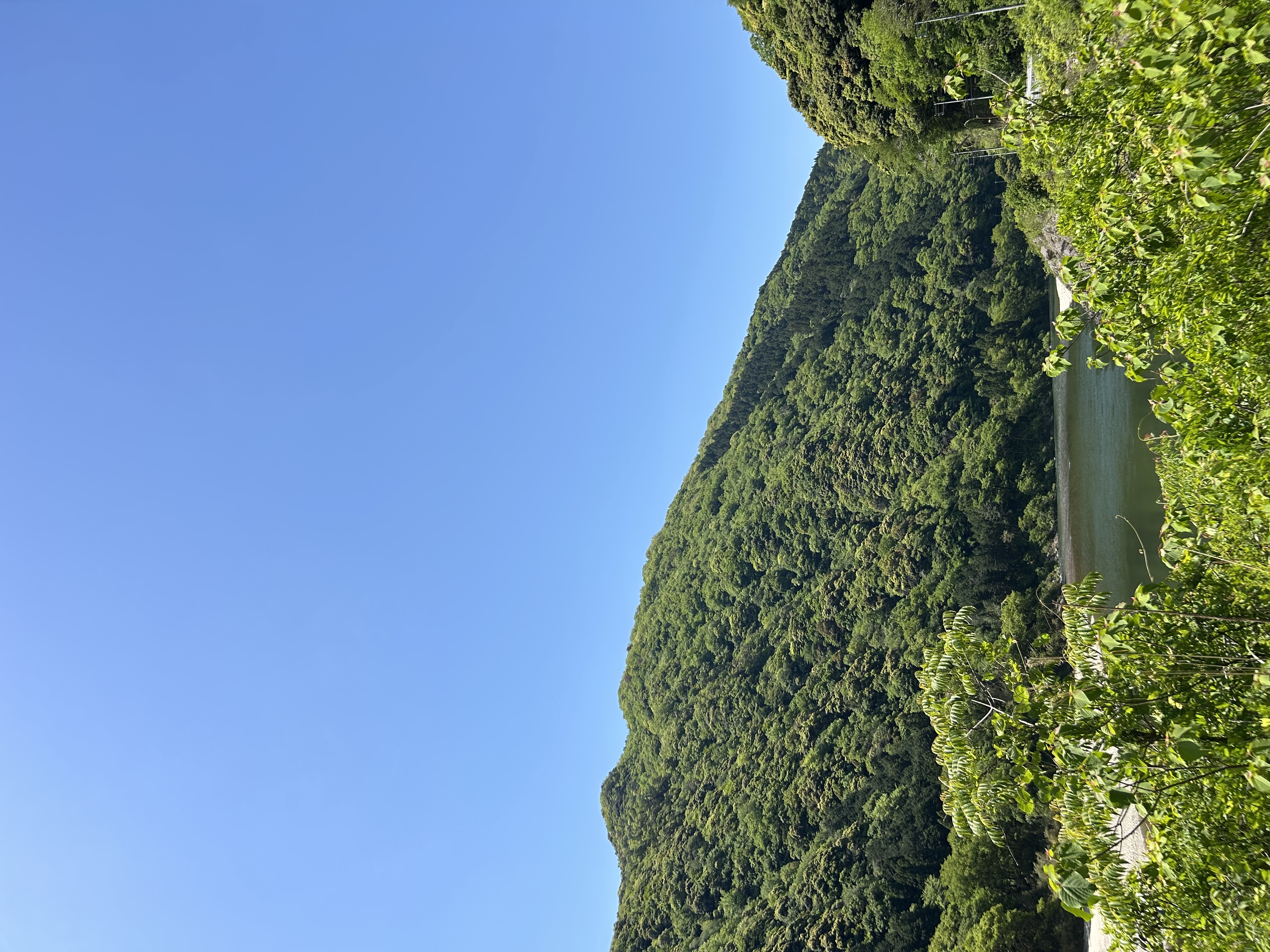 お客様の声：実際の体験談