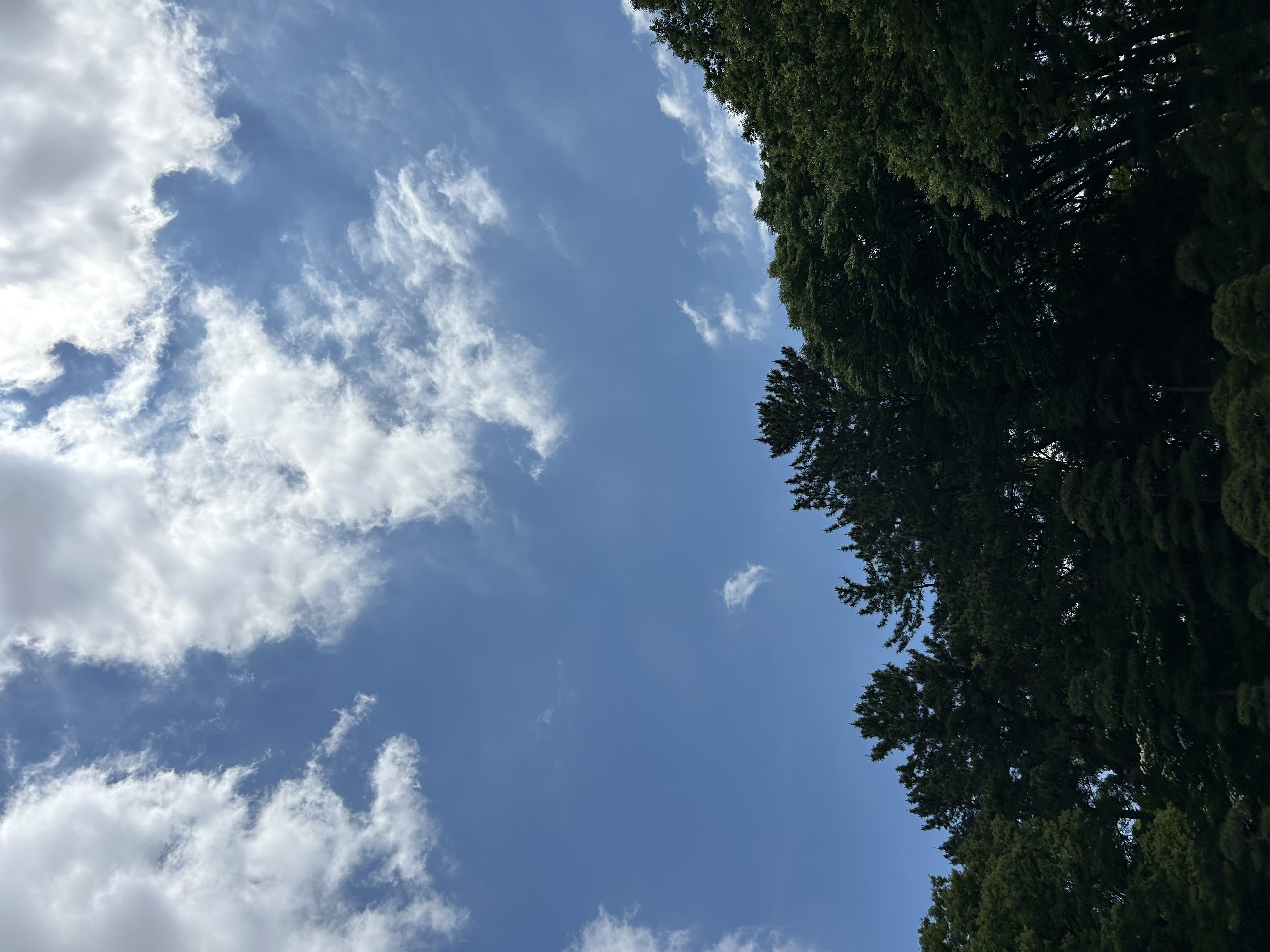 今すぐお問い合わせを！