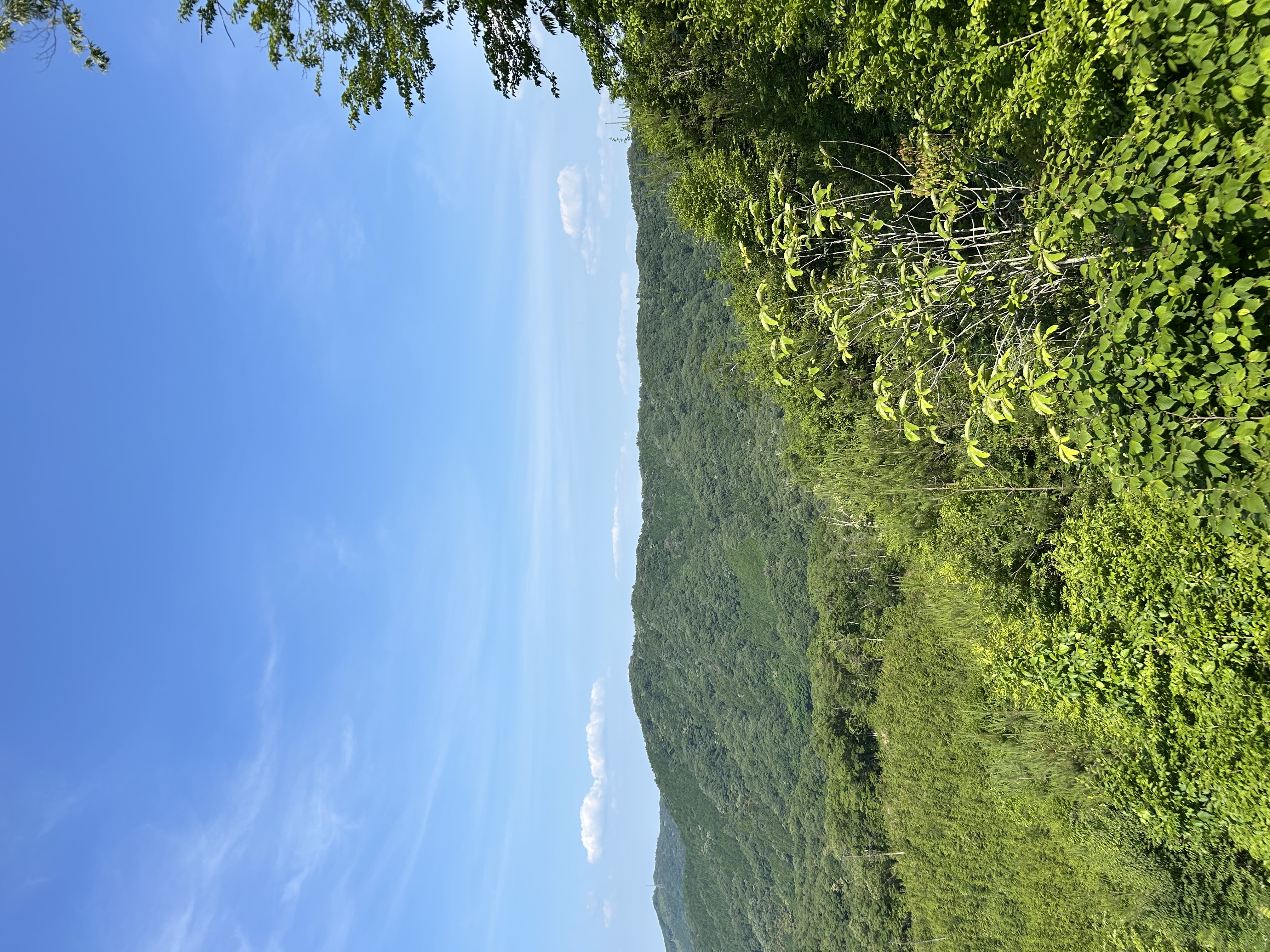 お客様の声と体験談