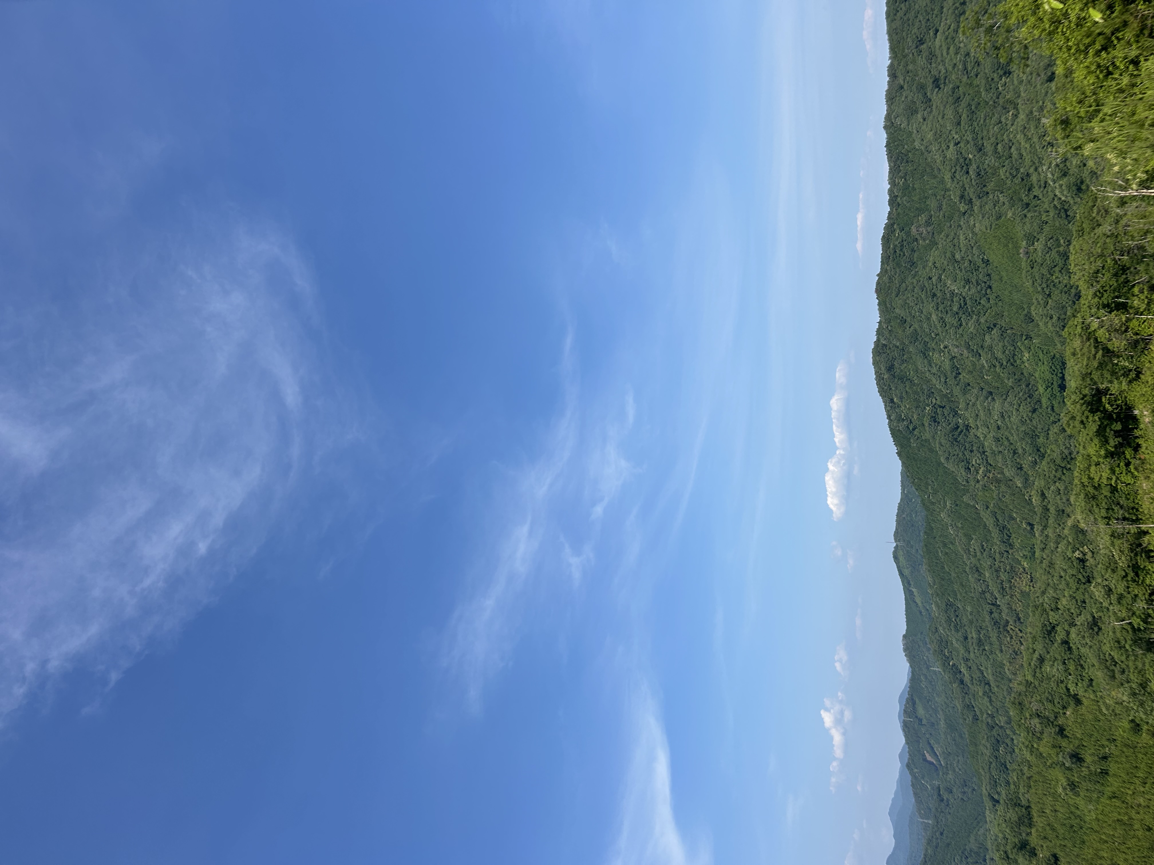 出張の利便性