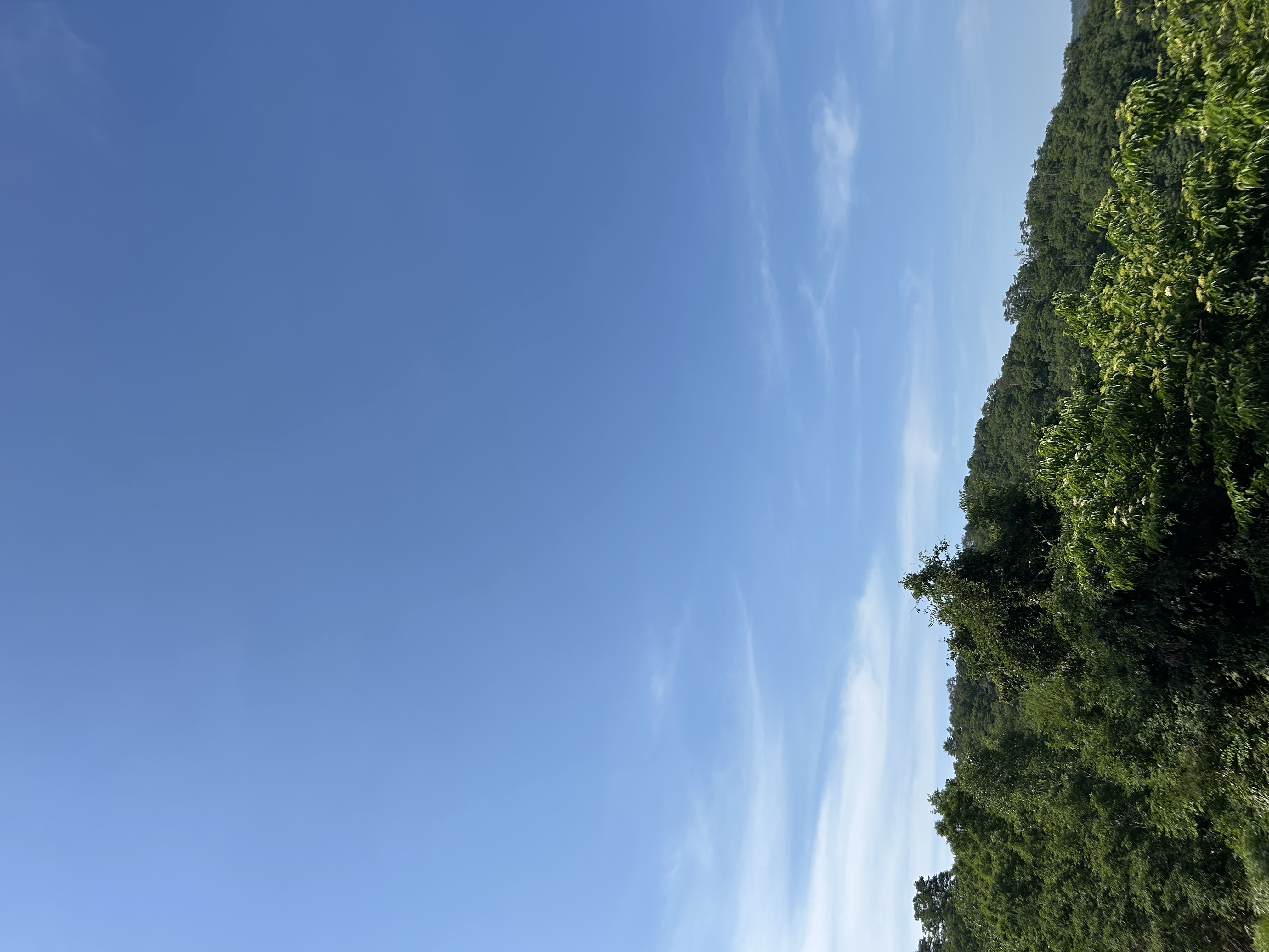 今すぐお問い合わせを！